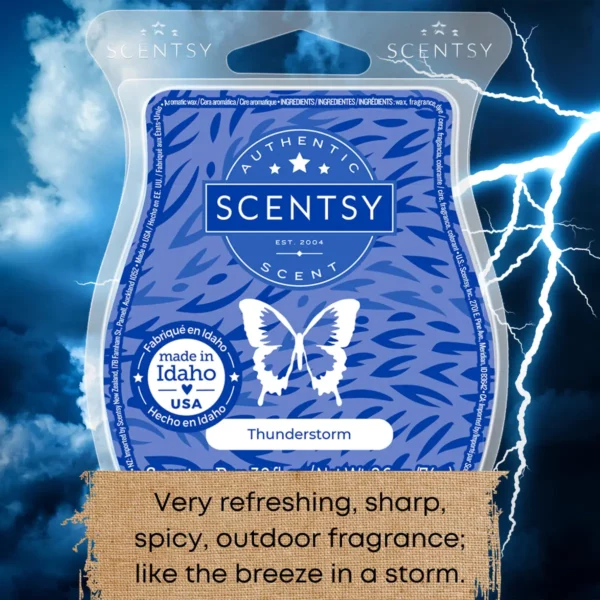 Thunderstorm Scentsy Bar