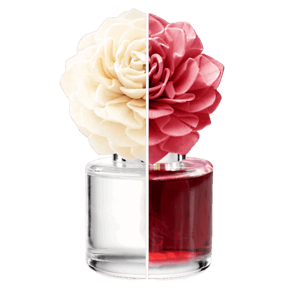 Valentines Day Scentsy 20231
